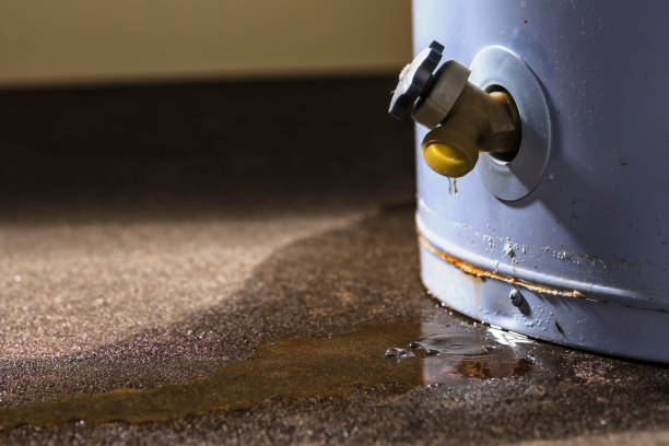 Best Sewage cleanup and water damage restoration  in Geneva, NY