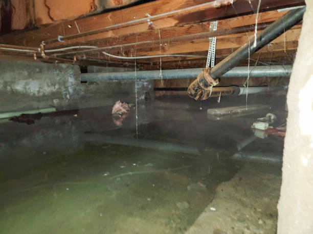 Best Water damage restoration near me  in Geneva, NY