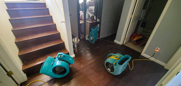 Best Water damage contractors near me  in Geneva, NY