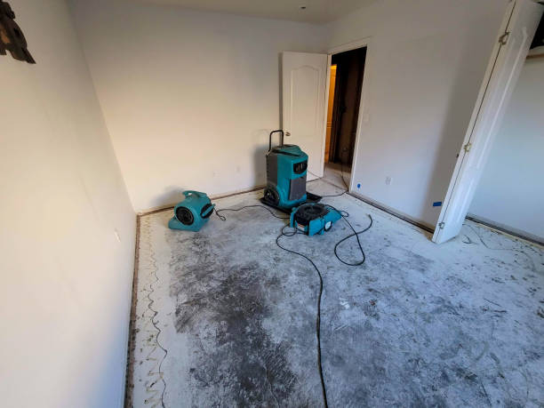 Best Basement water damage restoration  in Geneva, NY