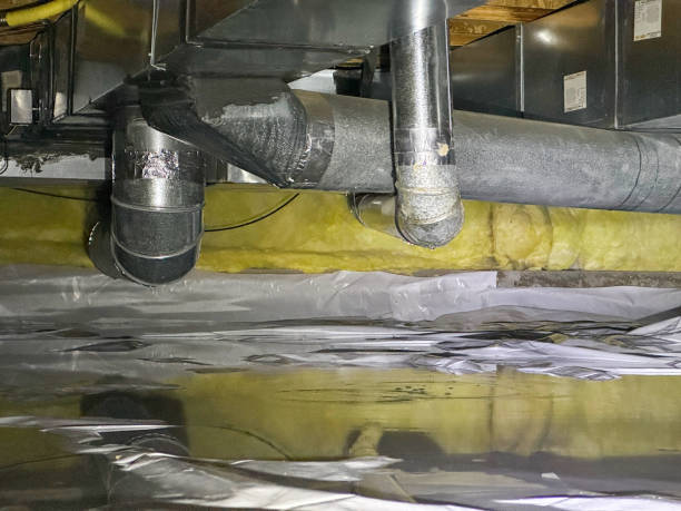 Best Professional water damage repair  in Geneva, NY