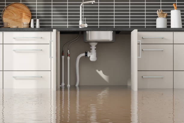 Best Basement water damage restoration  in Geneva, NY