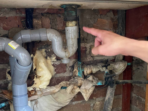 Best Flooded house restoration  in Geneva, NY